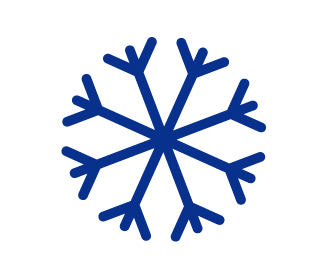 snow-flake-icon